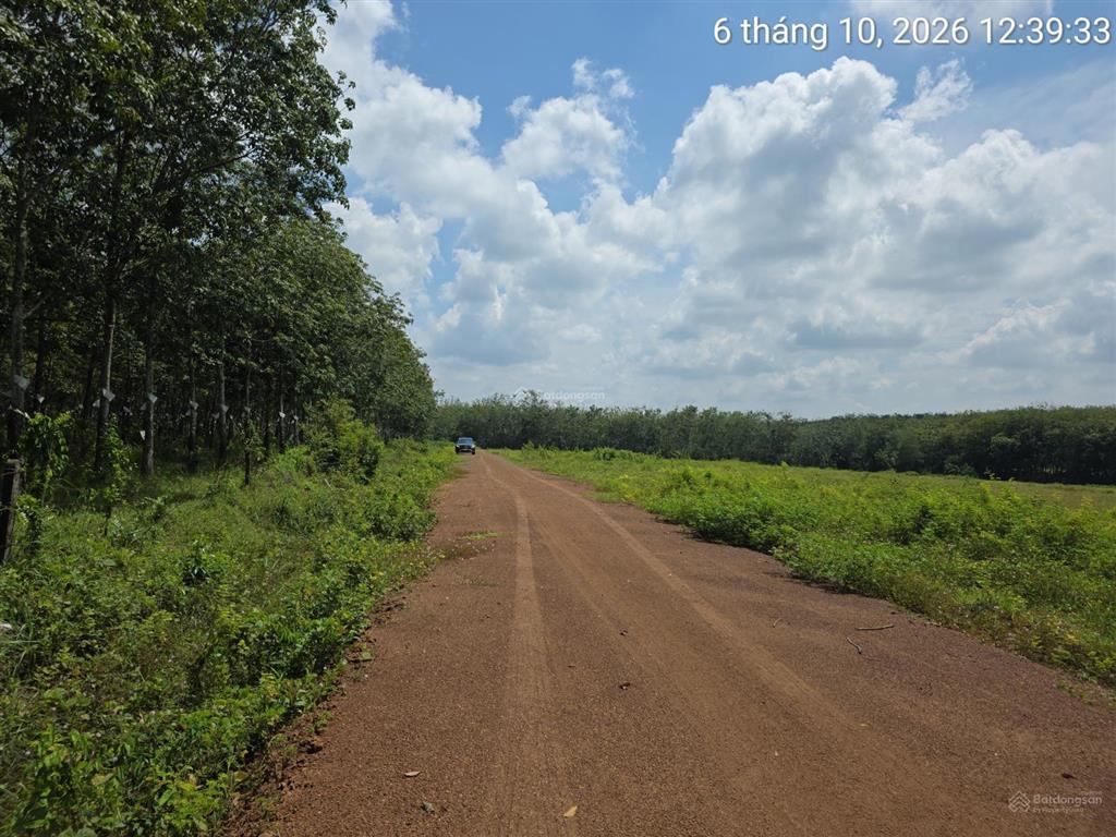 Đất bán tại xã định hiệp, huyện dầu tiếng, bình dương, 8 tỷ vnd, 889 m2, view đẹp