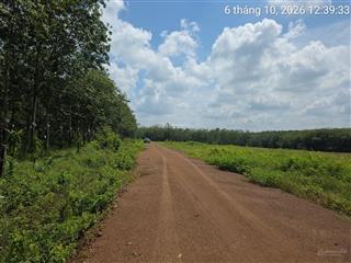 Đất bán tại xã định hiệp, huyện dầu tiếng, bình dương, 8 tỷ vnd, 889 m2, view đẹp