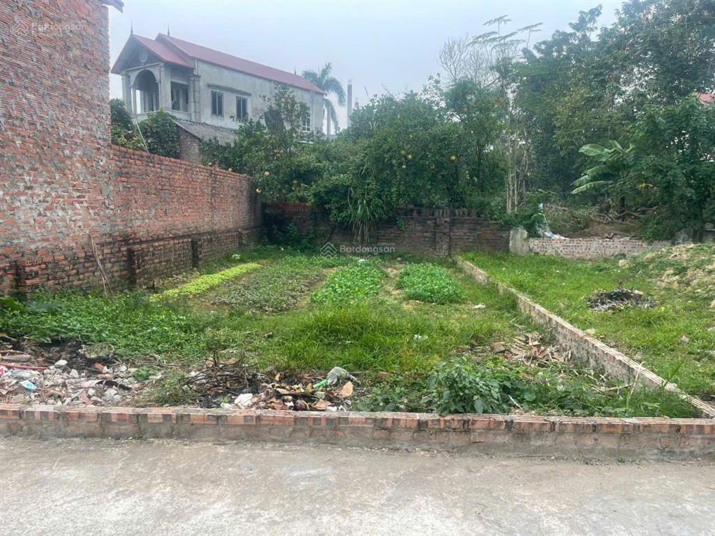 Chỉ 2 tỷ bán 77m² đất an trung, kim anh, gần kcn, vị trí thuận lợi.  0974 534 ***