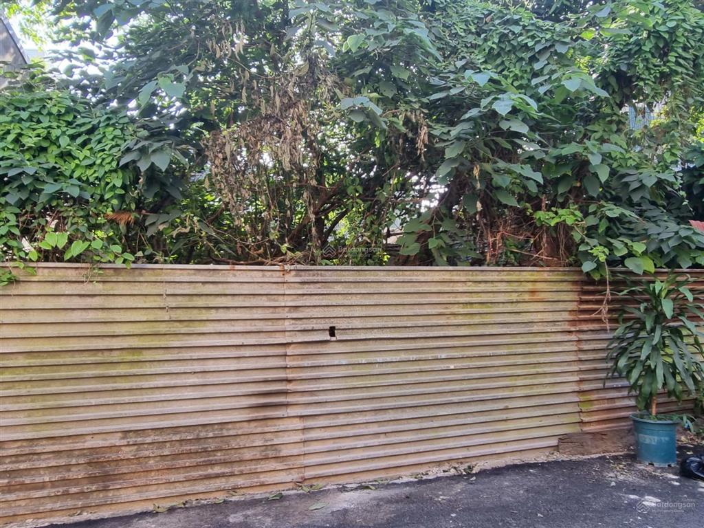 Chính chủ bán đất phân lô phúc hoa  p. phú thượng  tây hồ  hà nội giáp kđt ciputra 75m2 mt 4.13m