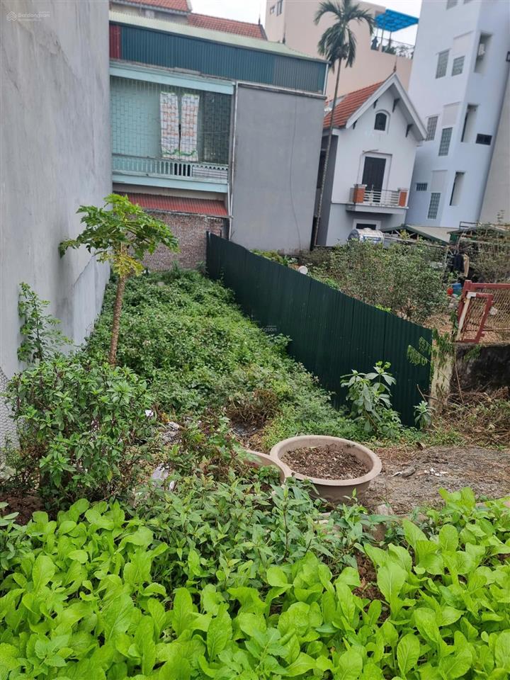 Chính chủ bán đất mặt đường an dương vương  phú thượng  tây hồ view trọn sông hồng, 16.5 tỷ