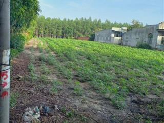 CHÍNH CHỦ CẦN BÁN LÔ ĐẤT THỔ CƯ 1976m2 ĐẦU TƯ SINH LỜI 