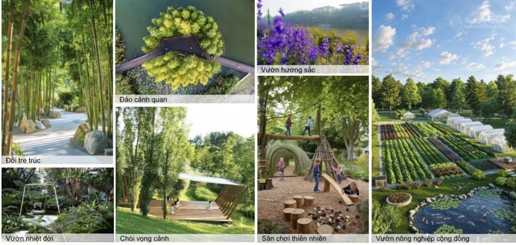 Hàng vip  hiếm  căn góc casa flora vsip nghệ an vừa ở đẳng cấp, vừa kinh doanh sinh lời