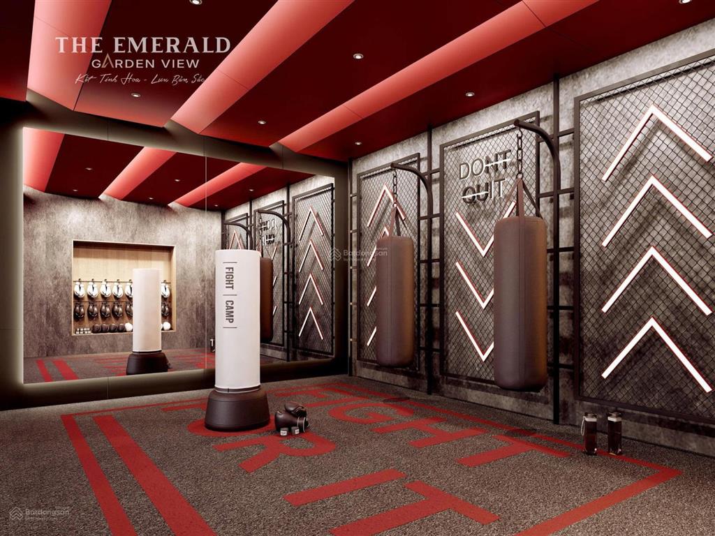 Mở bán căn hộ emerald garden view chiết khấu đến 12%, thanh toán chỉ 9,9tr mỗi tháng