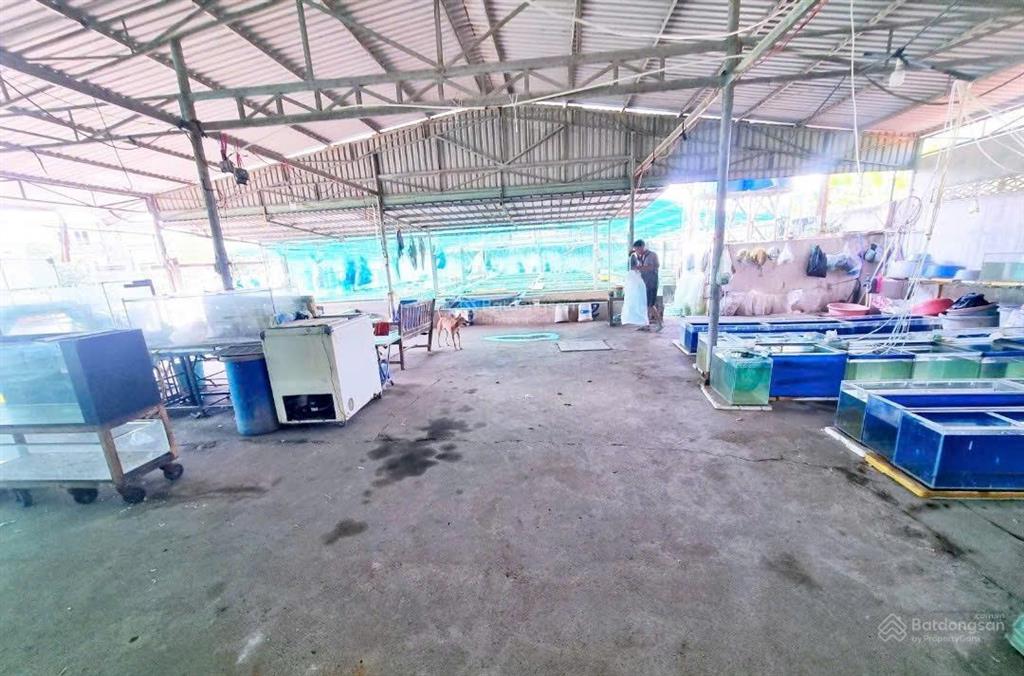 Tương lai góc 2 mặt tiền long thạnh mỹ nguyễn xiển sát vin 4138m2(55x75) giảm sâu 12tỷ còn 48tỷ(tl)