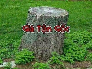 Ccg cần bán hơn 2000m2 mặt tiền mai chí thọ, đất sạch, full thổ cư. lô hiếm có còn lại ở mct