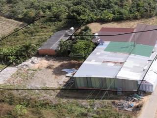 33.5m ôm mặt tiền đường bê tông liên huyện đang trong dự án đường 8m lớn