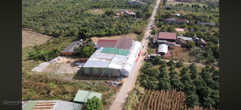 33.5m ôm mặt tiền đường bê tông liên huyện đang trong dự án đường 8m lớn