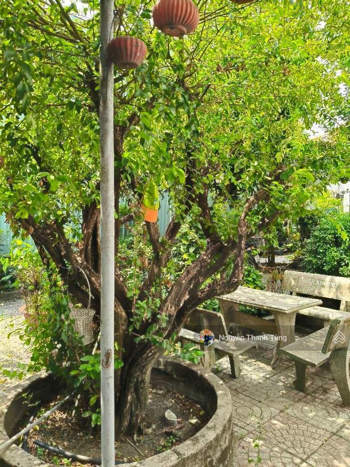 Lô đất thổ cư mặt tiền đường thạnh xuân 38, thới an, diện tích 172m2, ngang gần 8m, đường nhựa 8m,