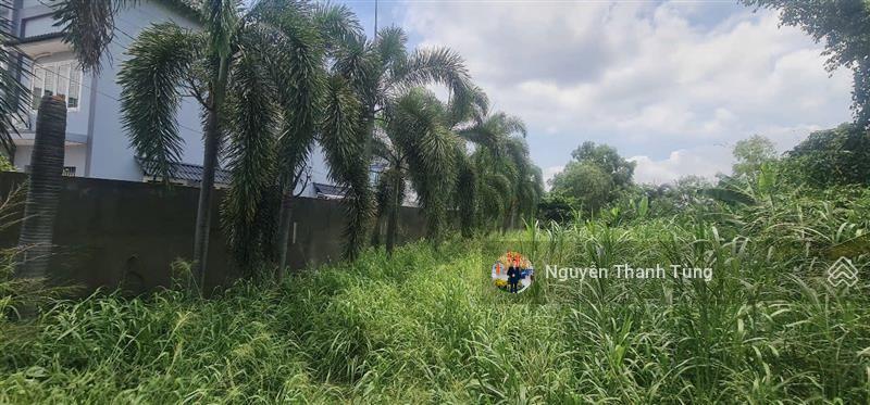 Bán lô đất thổ cư gần 500m2 mặt tiền đường nguyễn thị sáu, ngang 6m nở hậu, ngay trung tâm hóc môn