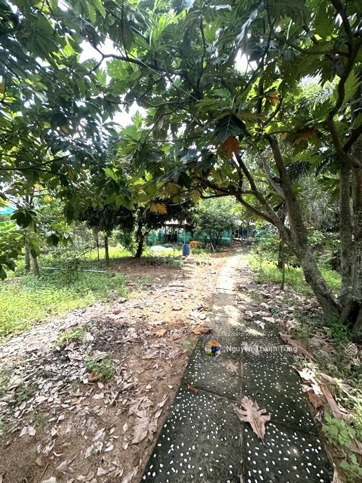 Hơn 40 triệu/m2  lô đất mặt tiền đường vườn lài, an phú đông quận 12  hơn 700m2, ngang khủng 15m