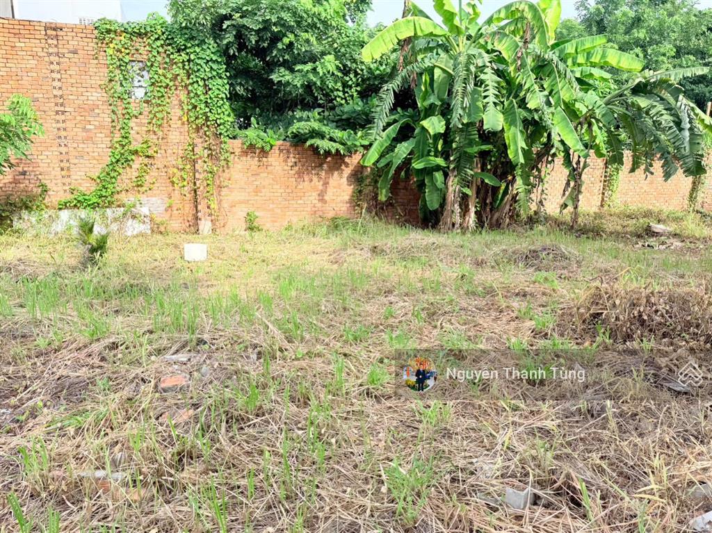 Lô đất thổ cư 600m2, ngang 9m gần mặt tiền đường nguyễn thị nhuần, q12  gần đh nguyễn tất thành.