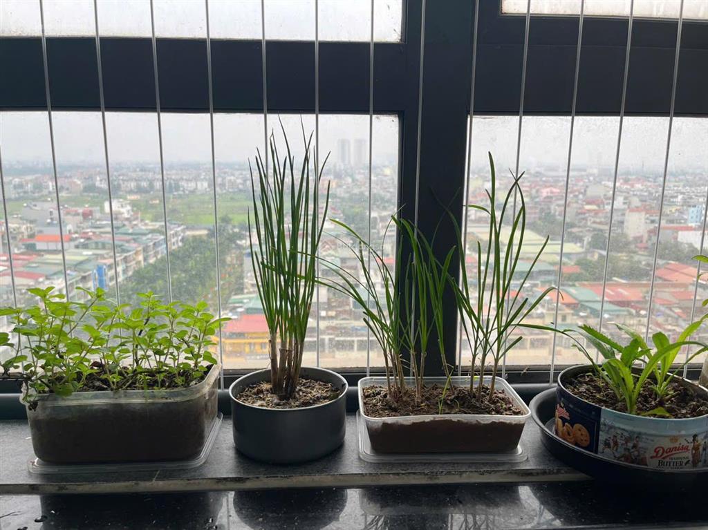 Bán cc tại tòa ct2a, 55m2, 2pn, 2wc, kđt tân tây đô giá chỉ 3,3 tỷ