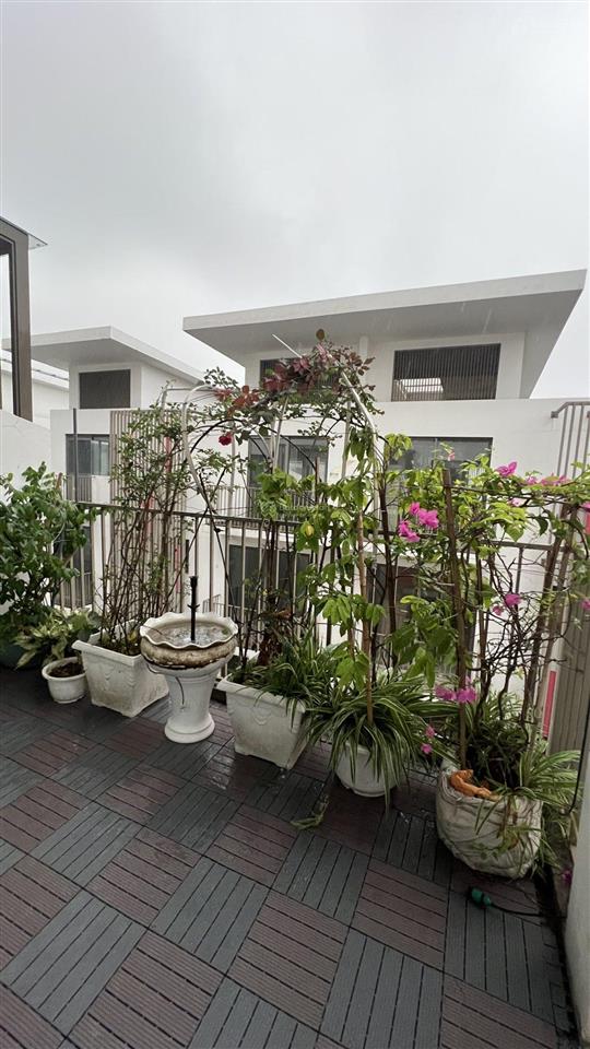 Cho thuê văn phòng tại khai sơn city, 8 triệu, 100m2, view đẹp
