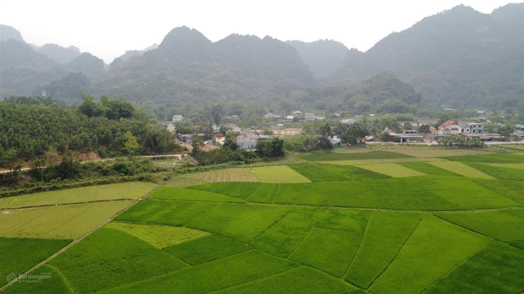 Bán đất kim bôi, view núi và cánh đồng, 950 triệu, 265.5m2 tại xã kim bôi, hòa bình