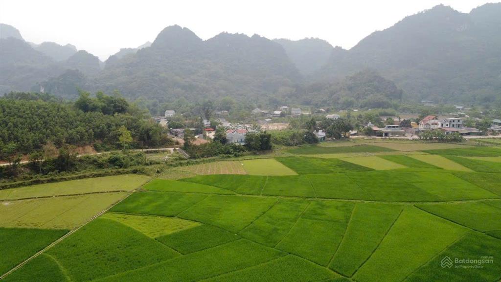 Bán đất kim bôi, view núi và cánh đồng, 950 triệu, 265.5m2 tại xã kim bôi, hòa bình