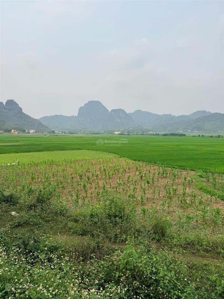 Bán đất kim bôi, view núi và cánh đồng, 950 triệu, 265.5m2 tại xã kim bôi, hòa bình
