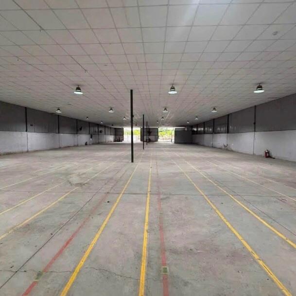 Cho thuê kho xưởng 1500m2 An Phú Đông Quận 12
