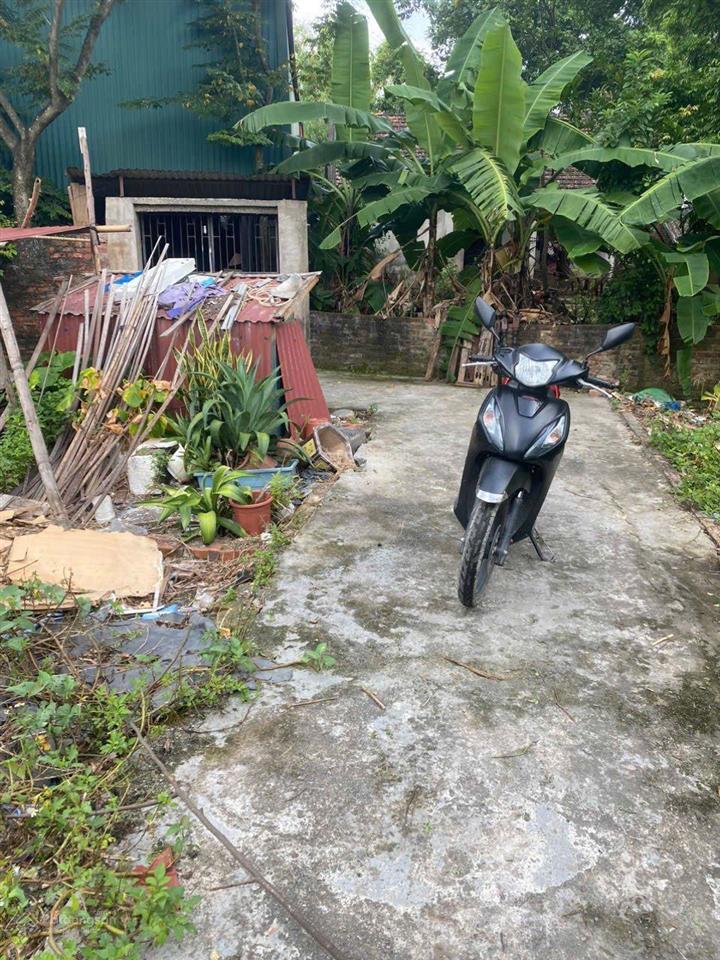 Hiếm, đất lô góc tại thanh cao, bình minh, thanh oai, dt 40m, mt 4m, đường thông oto, nhỉnh 2 tỷ