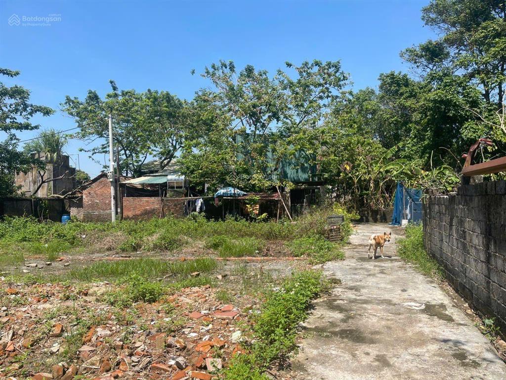 Hiếm, đất lô góc tại thanh cao, bình minh, thanh oai, dt 40m, mt 4m, đường thông oto, nhỉnh 2 tỷ