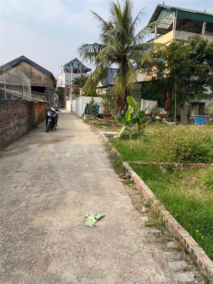 Hiếm, đất đẹp oto vào , giá nhỉnh 2 tỷ đầu tư lâu dài, dt 40m, mt 4.2m, kim bài, thanh oai, hà nội