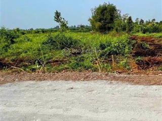 Bán gấp đất 1000m2 tại tân thành, thủ thừa, long an, giá 800 triệu