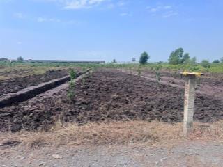 Bán đất tại gần tỉnh lộ 818, tân thành, thủ thừa, 478 triệu, 1000m2, giá ưu đãi