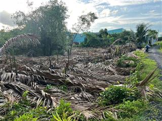 Đất vườn và thổ đẹp tuyệt vời làm nhà vườn sinh thái thì còn gì bằng rẻ đẹp không khí trong lành
