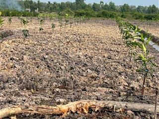 Bán lô đất vườn giá rẻ đầu tư quá êm 6900m2 chỉ 2tỷ5 thủ thừa, mua đầu tư bao lời