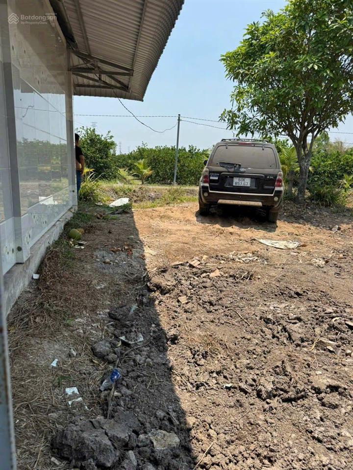 Đất vườn có nhà vườn sẵn cây ăn trái giá rẻ mua đầu tư tốt nhất