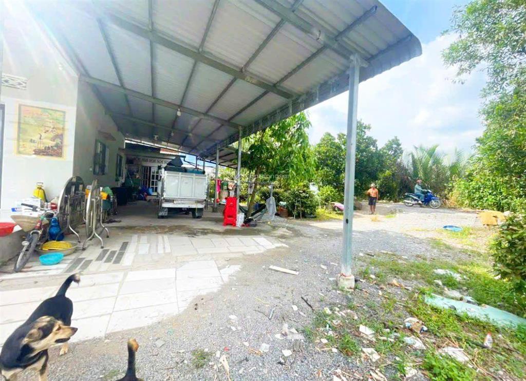 Nhà vườn sông vàm cỏ đông huyền thoại rất đẹp giá rẻ tất cả đều sẵn sàng mua là hưởng thụ thôi