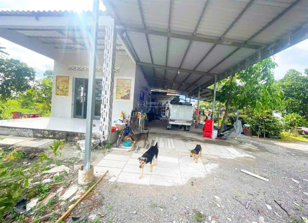 Nhà vườn sông vàm cỏ đông huyền thoại rất đẹp giá rẻ tất cả đều sẵn sàng mua là hưởng thụ thôi
