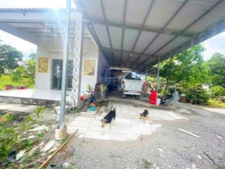 Nhà vườn sông vàm cỏ đông huyền thoại rất đẹp giá rẻ tất cả đều sẵn sàng mua là hưởng thụ thôi