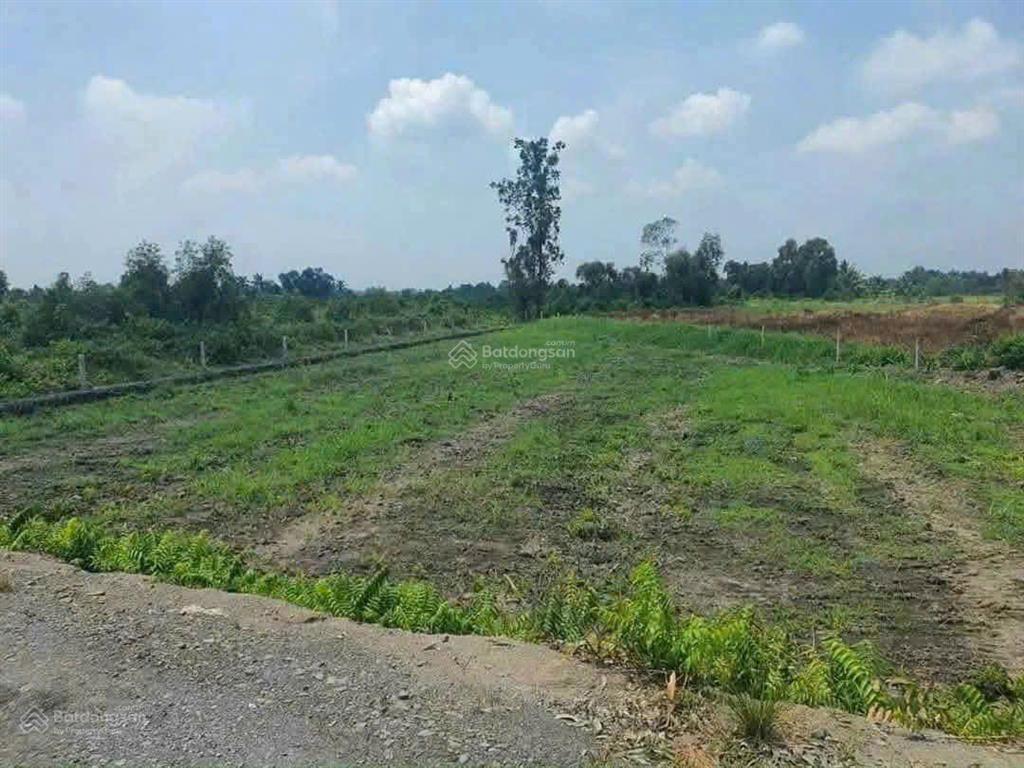 Đất vườn có thổ cư giá rẻ thích hợp đầu tư làm nhà vườn
