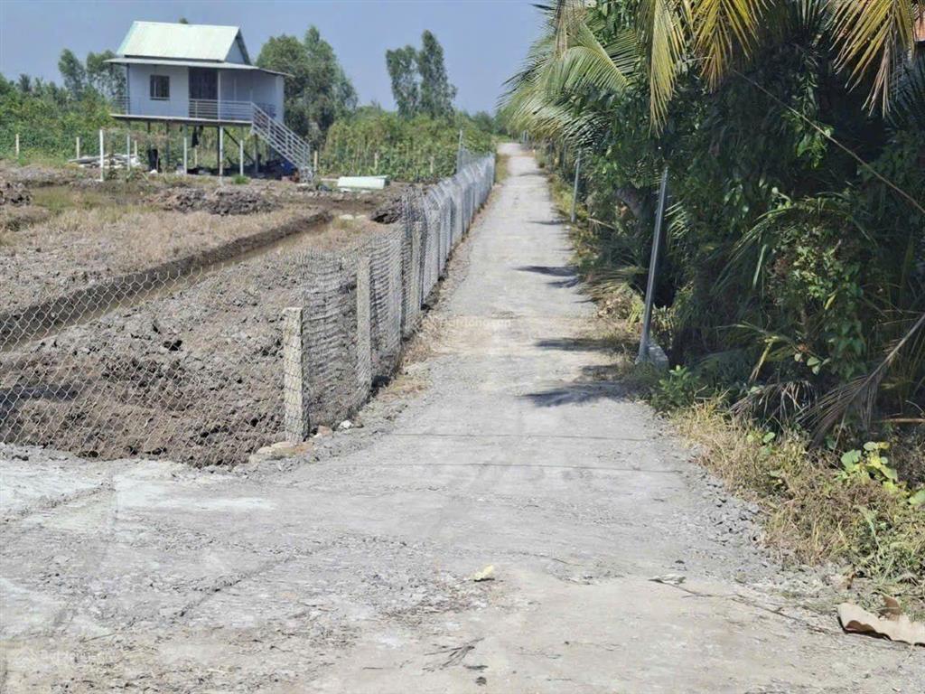 Đất vườn giá rẻ đầu tư lâu dài hoạt làm nhà vườn đều đẹp