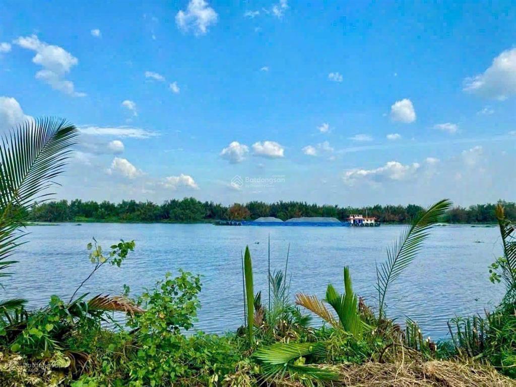 Đất mặt tiền sông vàm cỏ đông có sẵn thổ mua làm nhà vườn đầu tư lâu dài.kích thước siêu đẹp