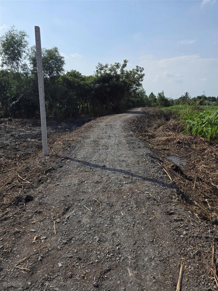 Bán đất tại kênh 3, tân thành, thủ thừa, 450 triệu, 1000 m2