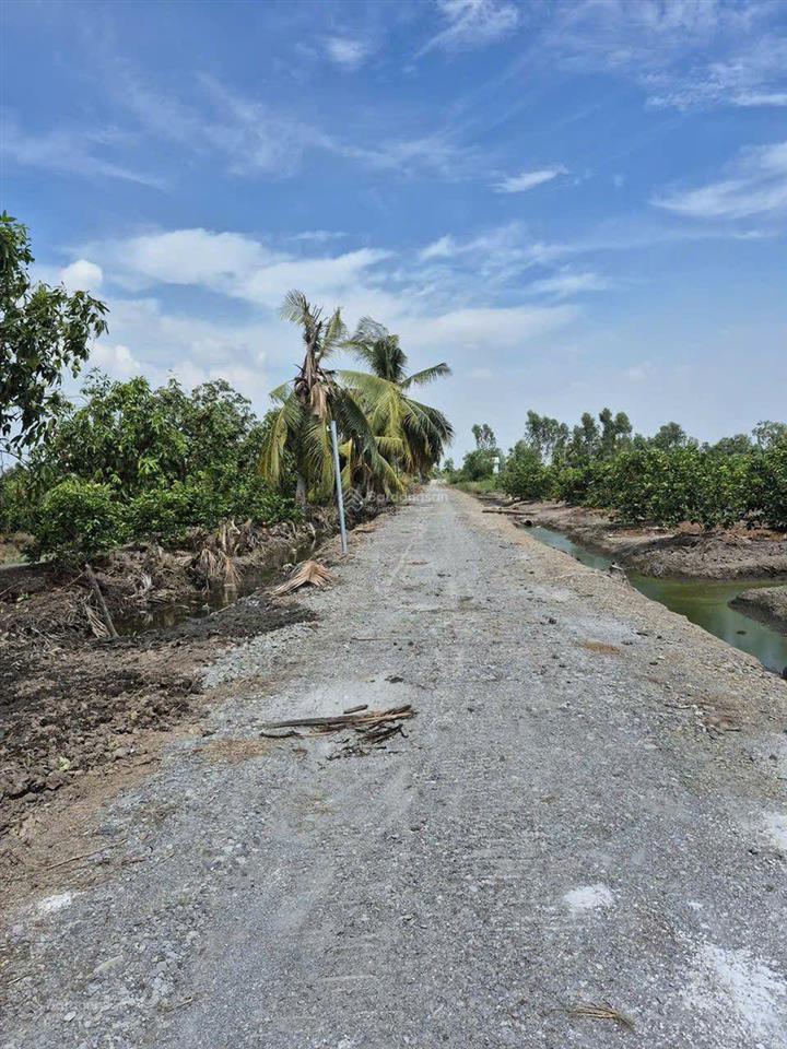 Bán đất tại kênh 3, tân thành, thủ thừa, 450 triệu, 1000 m2