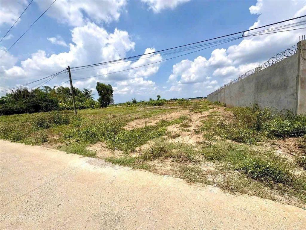 Đất có thổ cư sẵn đường bê tông khu vực nhà dân đông đút 1000m2 có 150m2 thổ cư