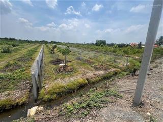 Đất thổ và vườn 844m2 296m2 thổ giá 1ty180 đầu tư nhà vườn trải nghiệm thiên nhiên đất sạch đẹp