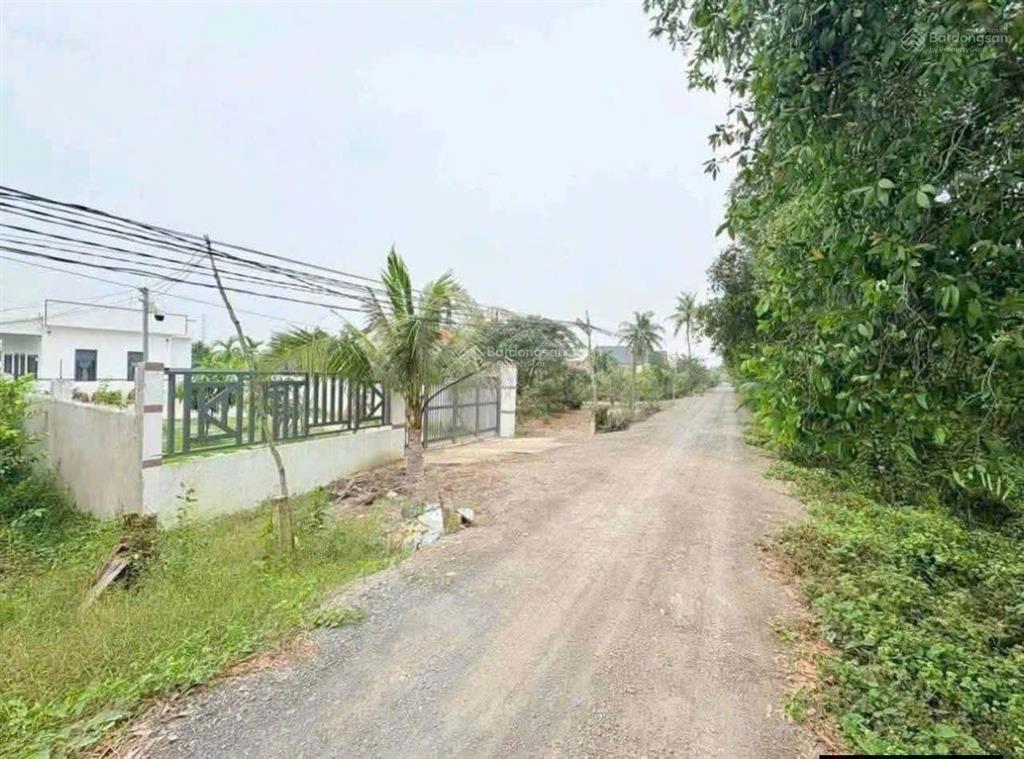 2000m2 có 756m2 thổ giá chỉ 1tỷ900 đất tại bình đức long an giá bao rẻ nhất thị trường