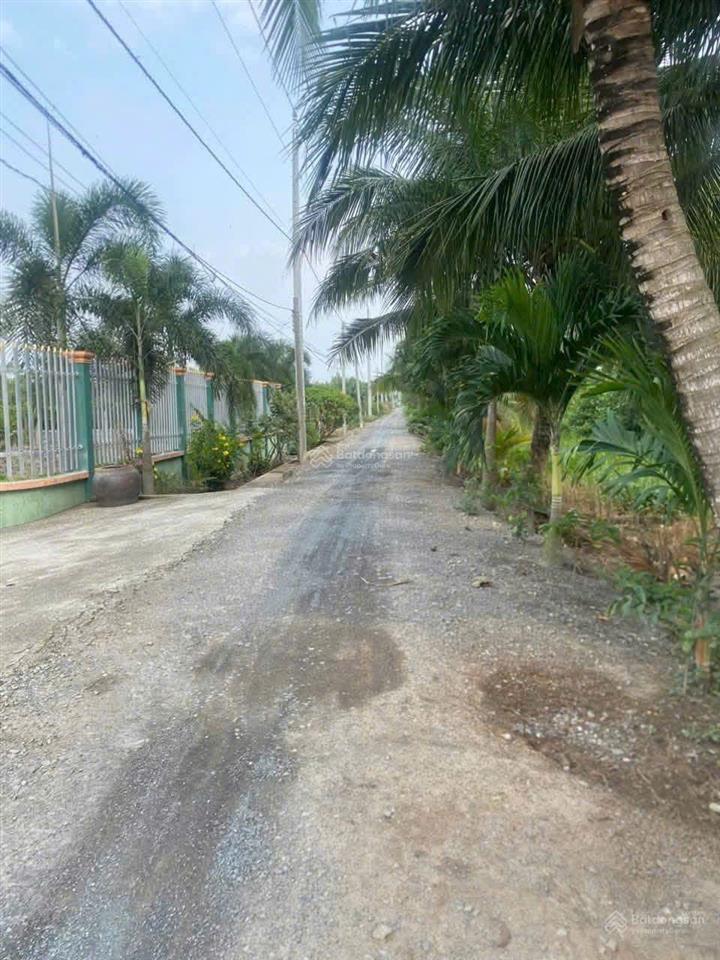 Đất vườn mặt tiền khu dân cư đông, nhiều tiện ích xung quanh, thuận tiện nhà vườn giá 1tỷ400