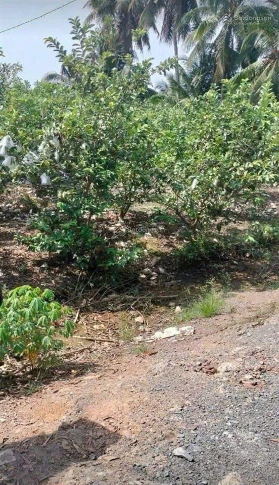 Đất mt kênh rộng nhà dân xung quanh đông đút điện nước ngay đất giá phù hợp mua đầu tư sinh lời