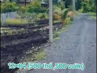 1006m2 có 500m2 thổ 506m2 vườn giá chỉ 1 tỷ 400 view kênh cực đẹp nhà cửa xung quanh điện nước gần