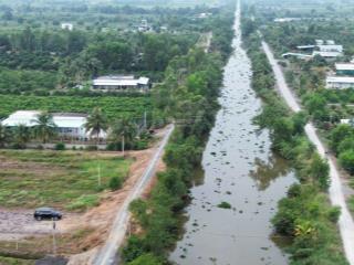 2000m2 đất vườn đang trồng mít cần bán gấp 800tr/1000m2 bình đức
