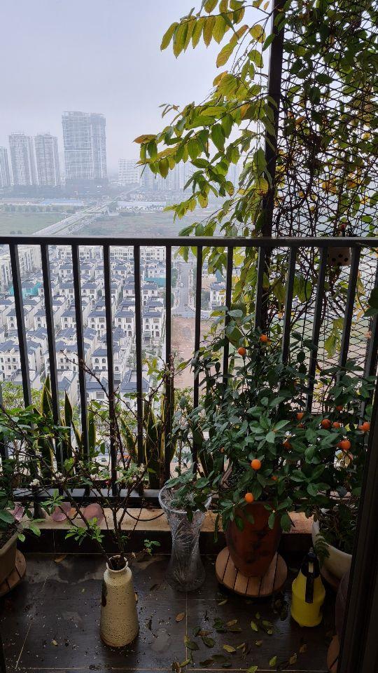Chỉ 6 tỷ thôi ạ ! Em có căn hộ 2PN 68m2 tầng 16 chung cư Green Stars cần chuyển nhượng ngay 