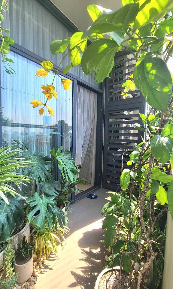 Chính chủ bán căn hộ 3PN 98m2 View hồ Tây Tràng An Complex giá chỉ 10,5 tỷ Full Nội thất