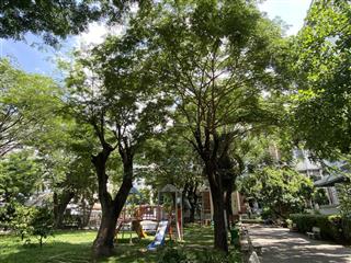 Bán penthouse hưng vượng 01  thang bộ lầu 04