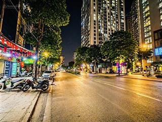 Bán siêu phẩm mặt phố trần bình  110m đường đôi  vừa ở vừa cho thuê dòng tiền  sổ đỏ chính chủ
