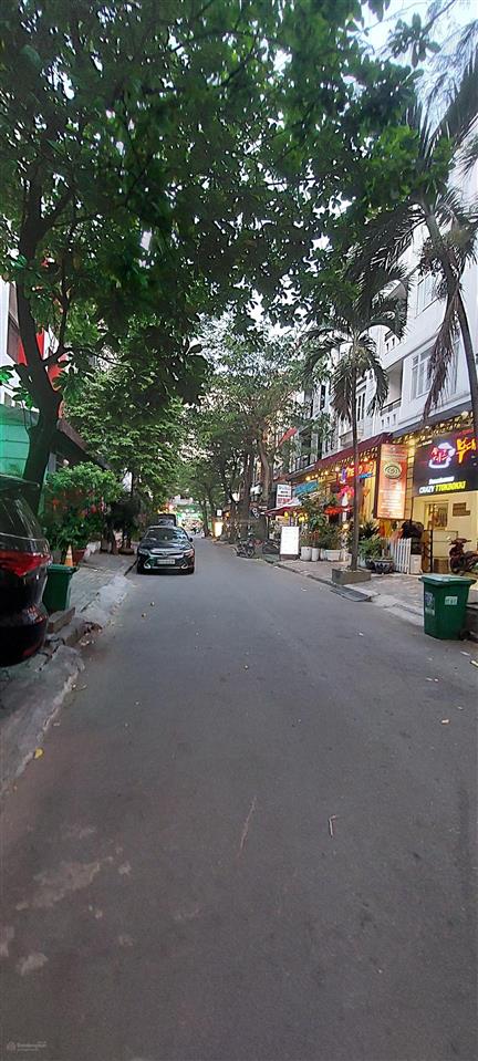 Cho thuê nhà hưng gia 2 phú mỹ hưng quận 7